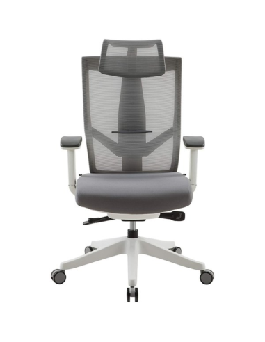 Ergo Chair-Aero Fabric