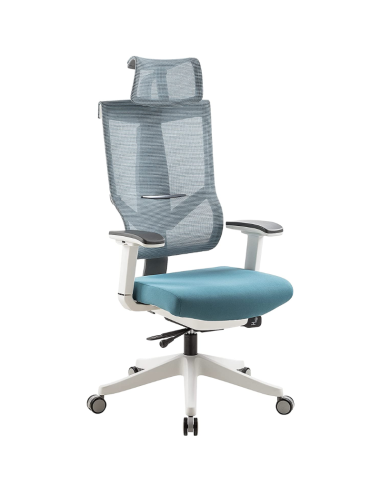 Ergo Chair-Aero Fabric