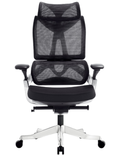 Buy Workstation with fixed...