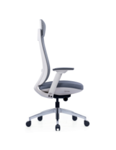 Executive Office Chair in...