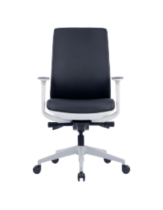 Office Chair for lower back...