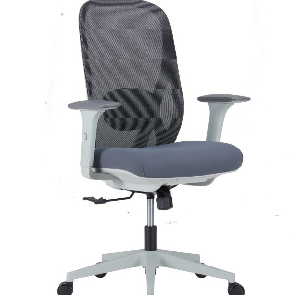 Comfortable Education Chair for Schools and Colleges