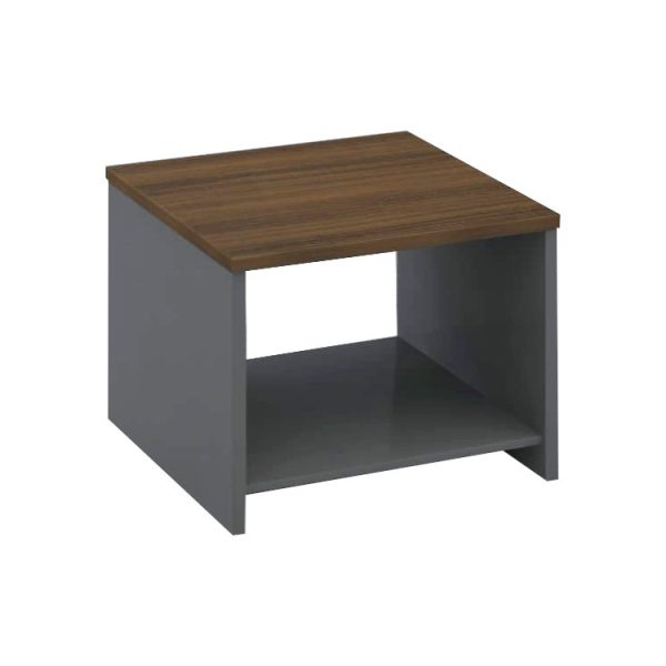 Elegant Mango Wood Coffee Table for Living Room