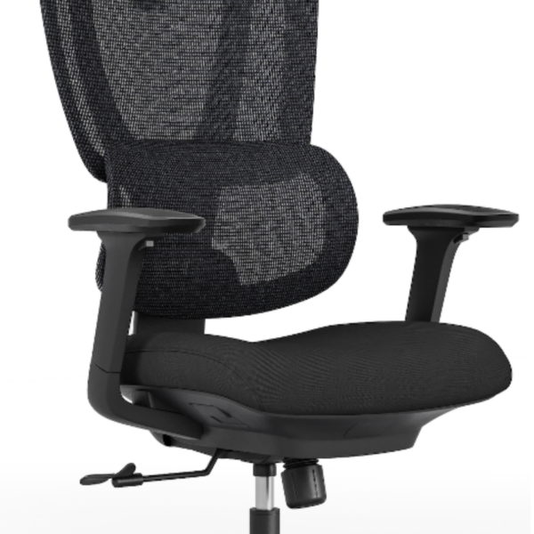 EXECUTIVE  CHAIR