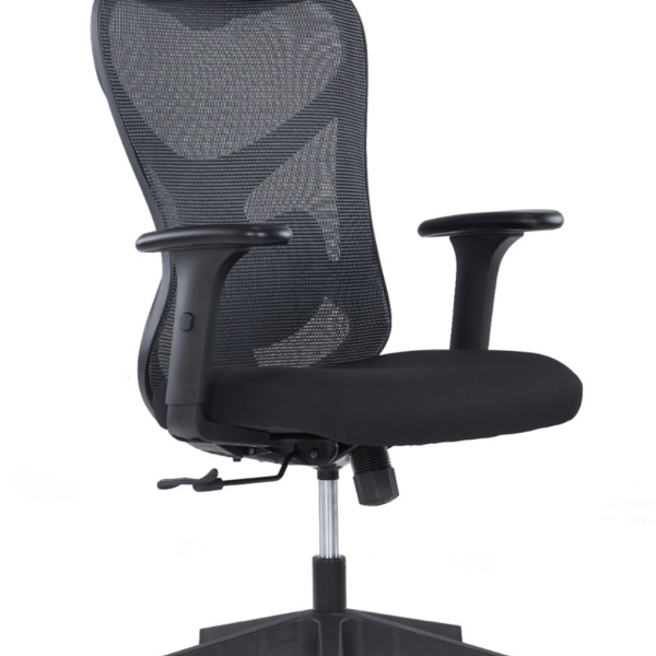 EXECUTIVE CHAIR